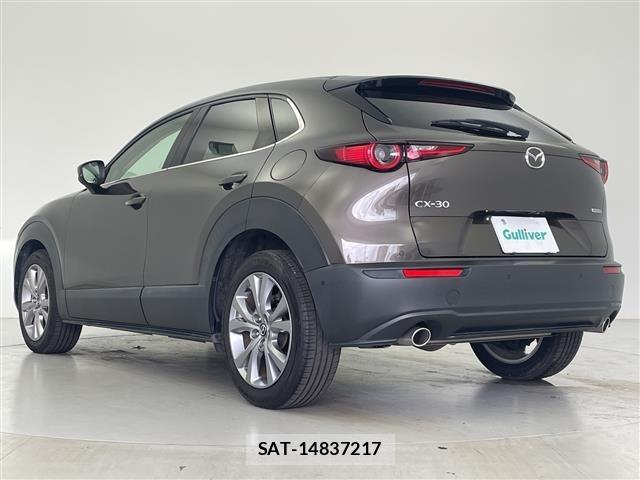Mazda CX-30 2019 8748176-13