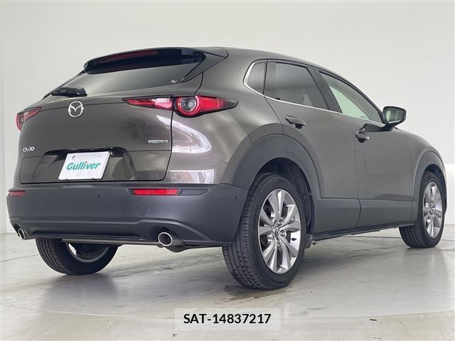 Mazda CX-30 2019 8748176-20