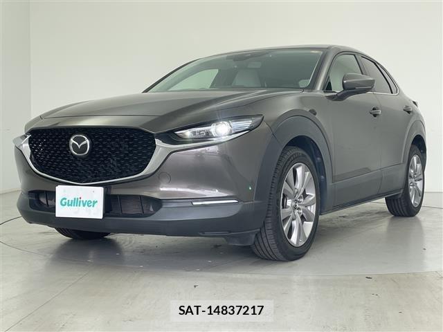 Mazda CX-30 2019 8748176-4