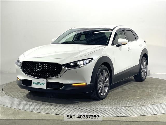 Mazda CX-30 2019 8748177-18