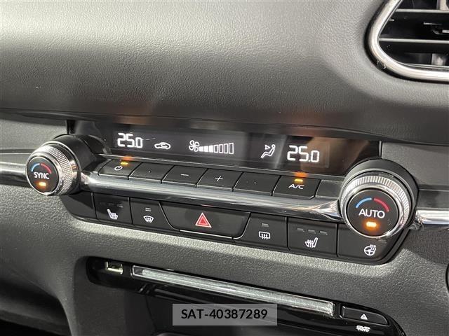 Mazda CX-30 2019 8748177-20