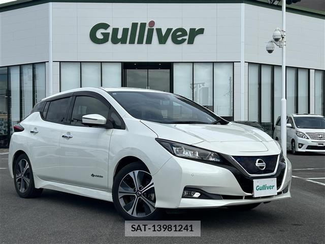 Nissan LEAF 2020 8928865-0