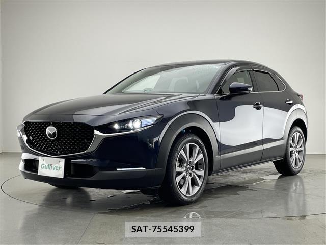 Mazda CX-30 2022 8930530-12