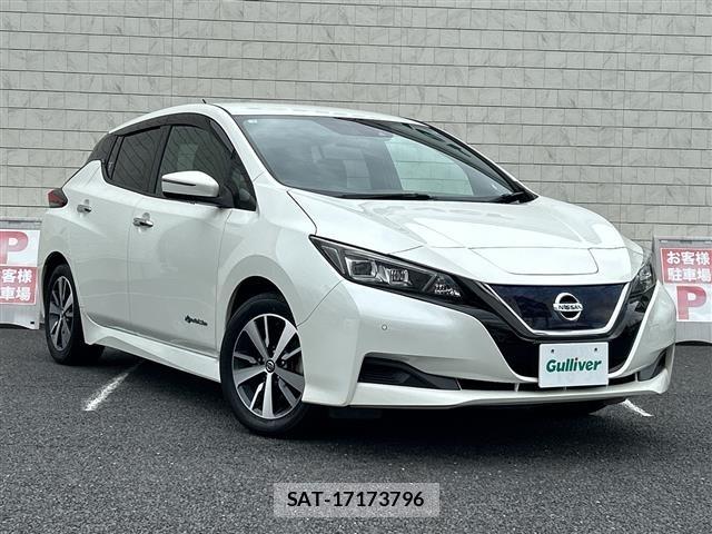 Nissan LEAF 2019 8928878-0