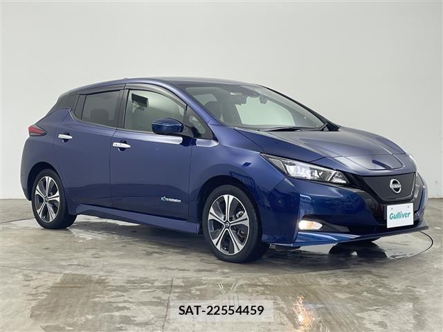 Nissan LEAF 2021 8928901-0