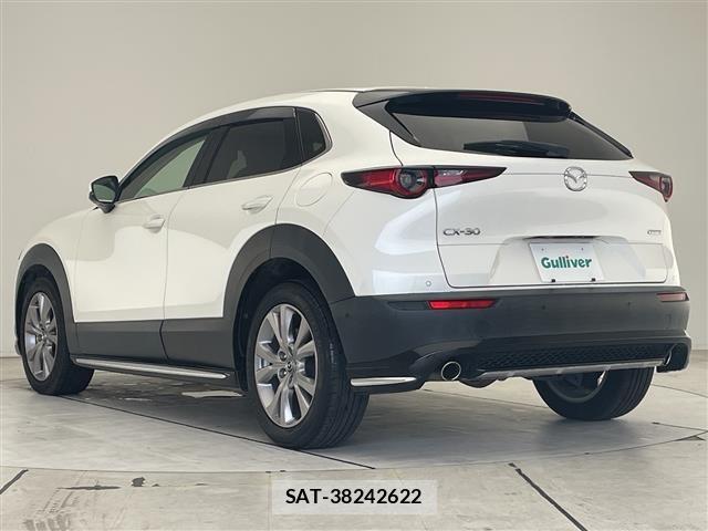 Mazda CX-30 2020 8930537-4