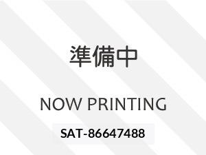 Toyota CROWN 2008 8680468-19