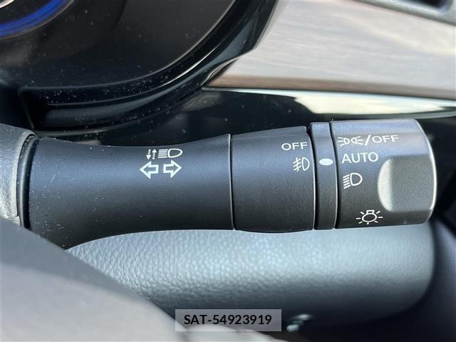 Nissan ELGRAND 2025 8689695-7