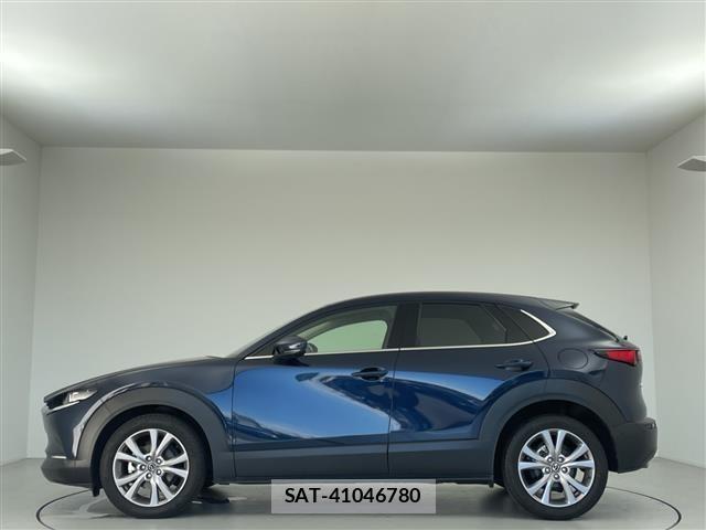Mazda CX-30 2019 8748184-14