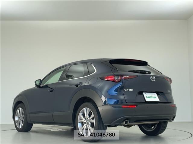 Mazda CX-30 2019 8748184-20