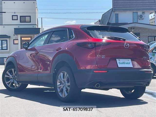 Mazda CX-30 2020 8748197-13