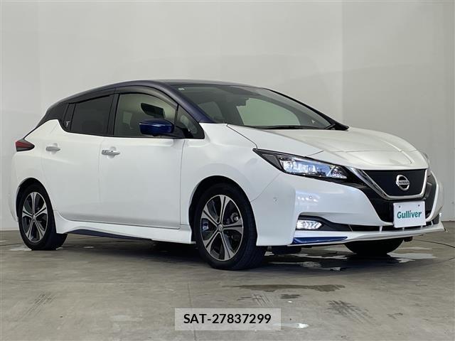 Nissan LEAF 2017 8928951-0