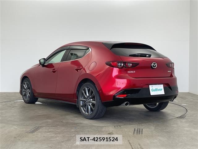 Mazda MAZDA3 2019 8690012-13