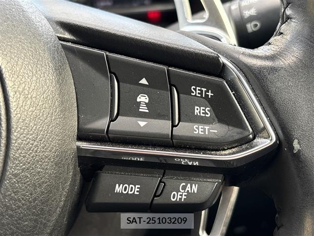 Mazda AXELA 2017 8911729-10