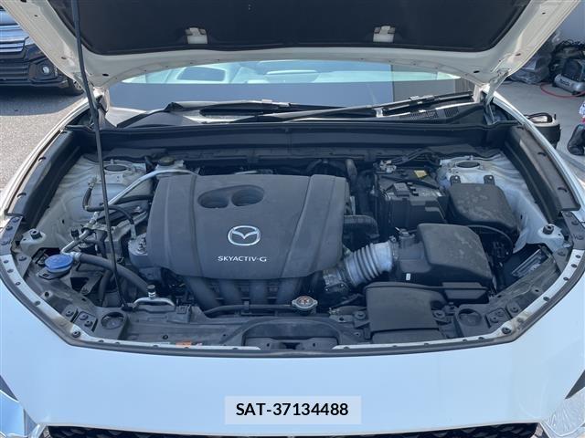 Mazda CX-30 2019 8930567-15