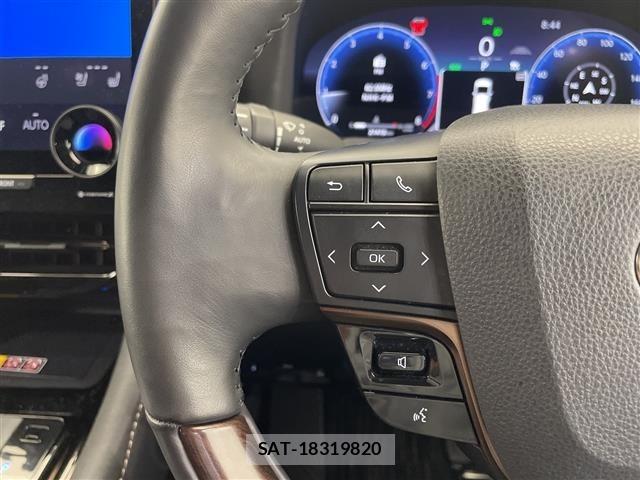 Toyota ALPHARD 2023 8716191-9
