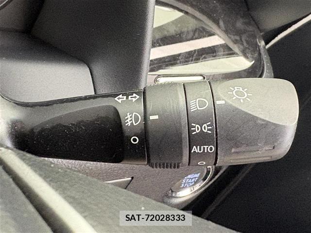 Toyota VELLFIRE 2019 8905161-9