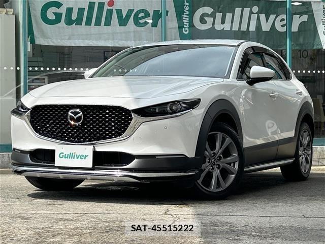 Mazda CX-30 2022 8748201-19