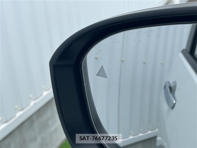 Nissan SERENA 2024 8716842-20