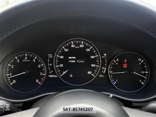 Mazda MAZDA3 2020 8909312-9
