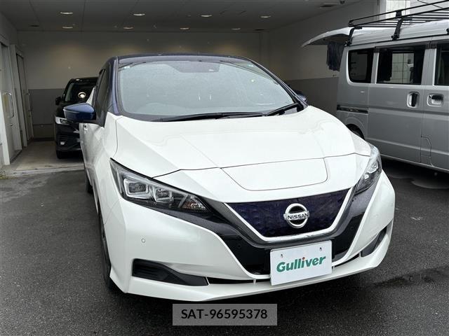 Nissan LEAF 2020 8928974-0