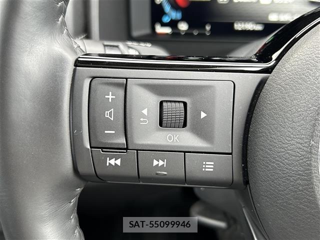 Nissan X-TRAIL 2024 8929643-21