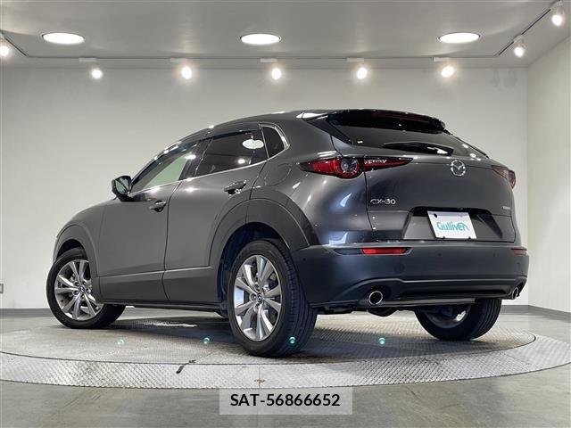 Mazda CX-30 2019 8748222-14