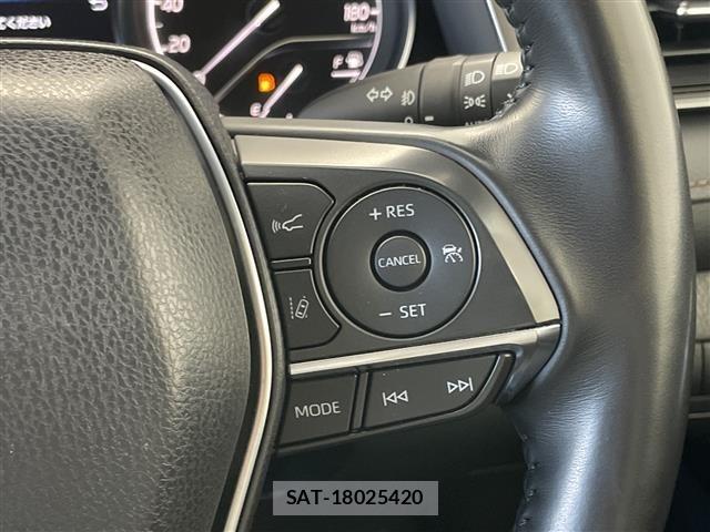 Toyota CAMRY 2019 8687716-21