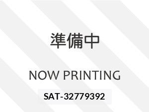 Suzuki SOLIO 2019 8776934-6