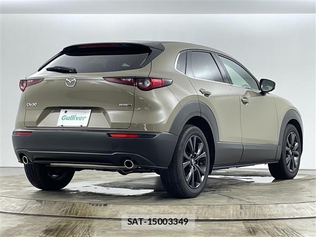 Mazda CX-30 2025 8930640-11