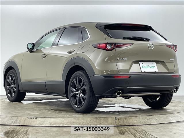 Mazda CX-30 2025 8930640-9