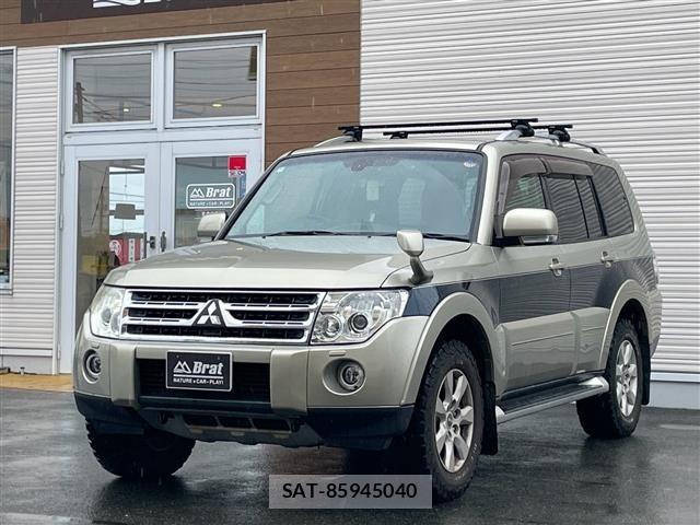 Mitsubishi PAJERO 2008 8689059-0