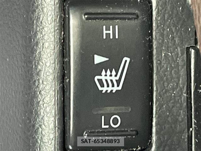 Nissan ELGRAND 2009 8689729-3