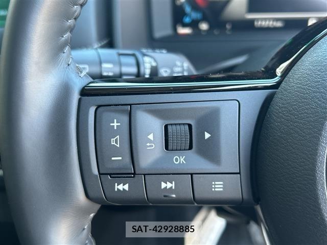 Nissan X-TRAIL 2024 8929780-20
