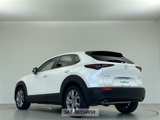 Mazda CX-30 2021 8748224-20