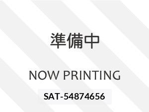 Suzuki HUSTLER 2018 8690286-32