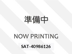 Suzuki HUSTLER 2021 8690290-3