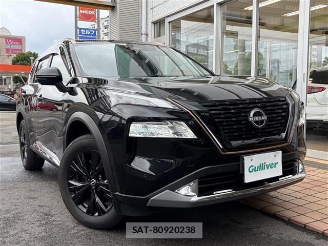 Nissan X-TRAIL 2024 8929900-15