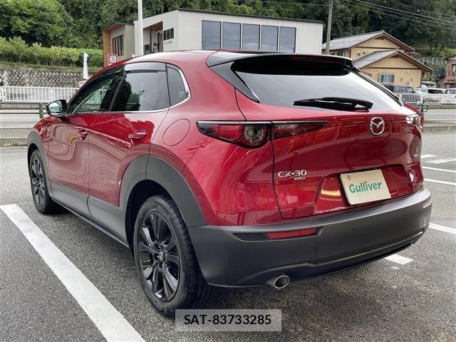 Mazda CX-30 2023 8930674-13