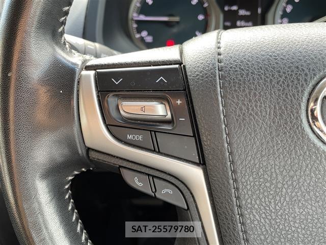 Toyota LAND CRUISER PRADO 2017 8907491-21