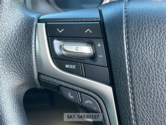 Toyota LAND CRUISER PRADO 2018 8737212-23