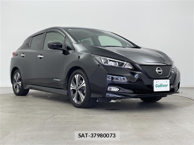 Nissan LEAF 2021 8748183-0