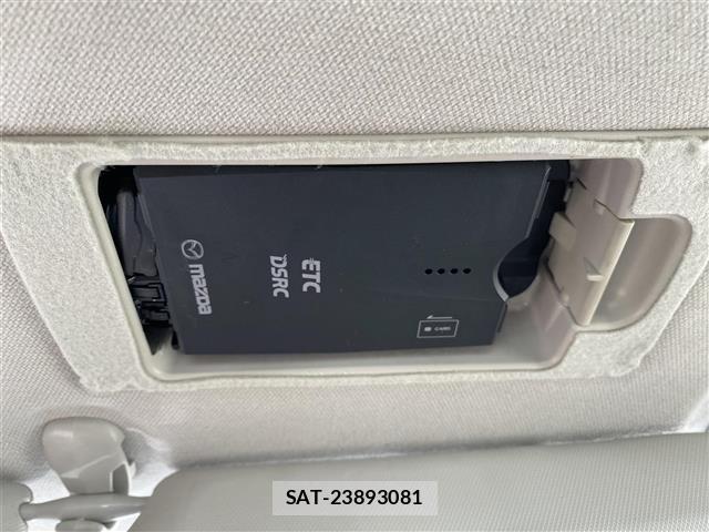 Mazda AXELA 2013 8719004-9