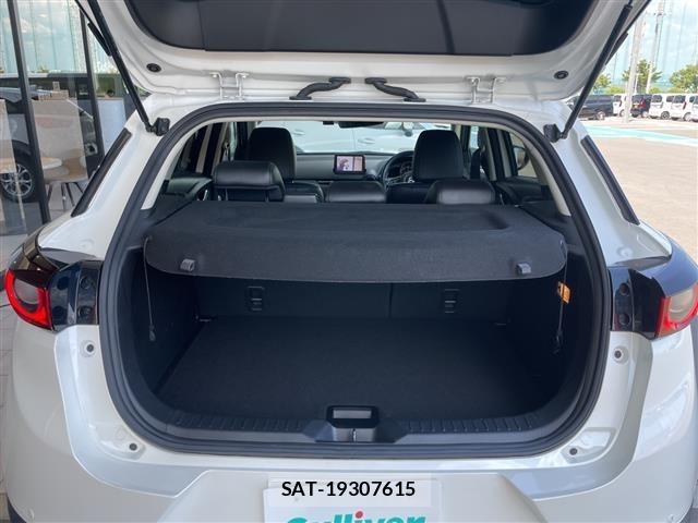 Mazda CX-3 2019 8711891-10