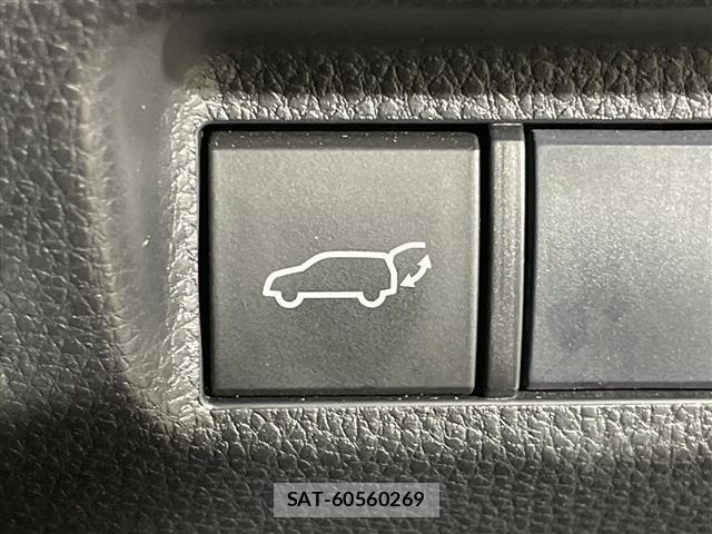 Toyota RAV4 2019 8709504-22