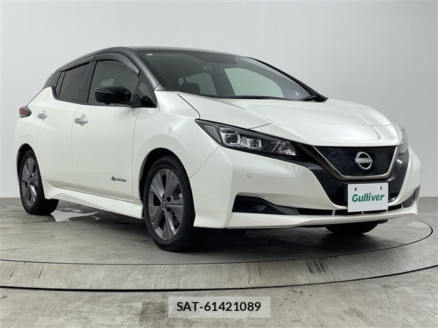 Nissan LEAF 2021 8929051-0