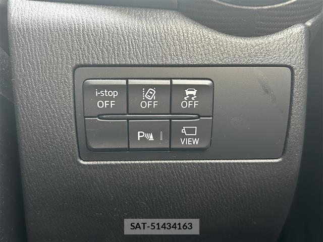 Mazda MAZDA2 2019 8710955-19