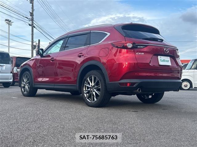 Mazda CX-8 2018 8935276-13