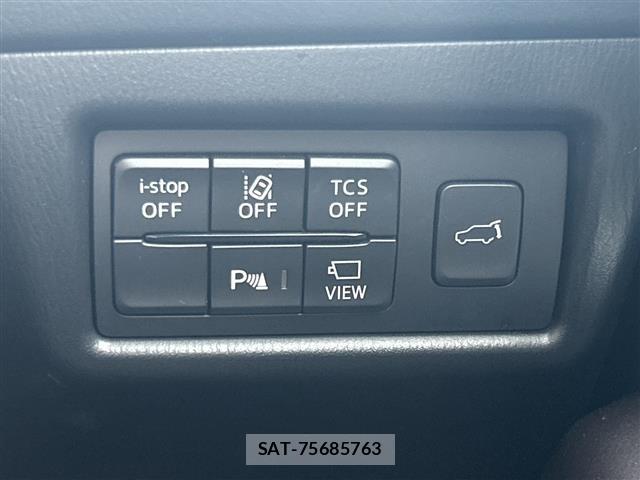 Mazda CX-8 2018 8935276-8