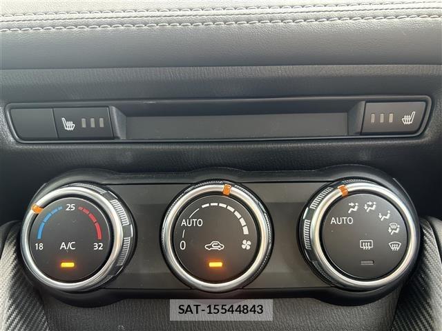 Mazda DEMIO 2017 8709041-11